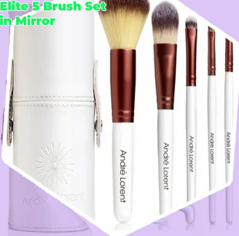 5 makeup brush set
