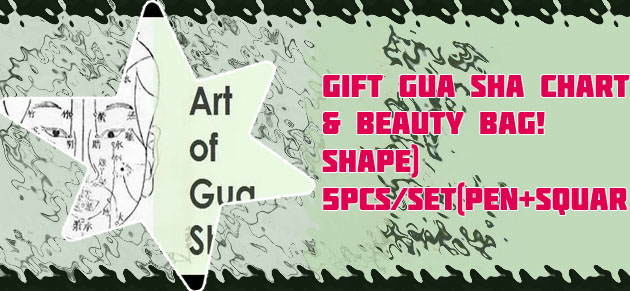 Gua sha chart